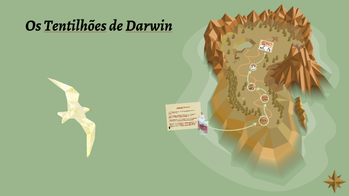 Os Tentilhões De Darwin By Amanda Fujino On Prezi