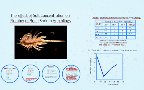 what salt concentrations can brine shrimp withstand