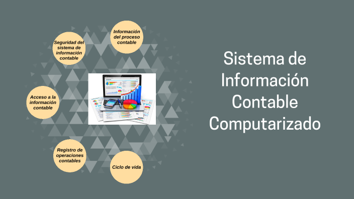 Elementos Del Sistema De Información Contable Computarizado By Ricardo