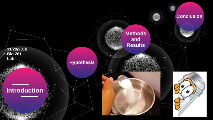 how-does-salt-effect-the-boiling-temperature-of-water-by-esther-joseph