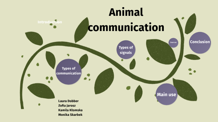 research on animal communication