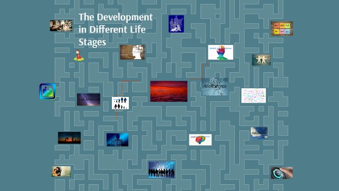 the development in different life stages by Marlene Martinez