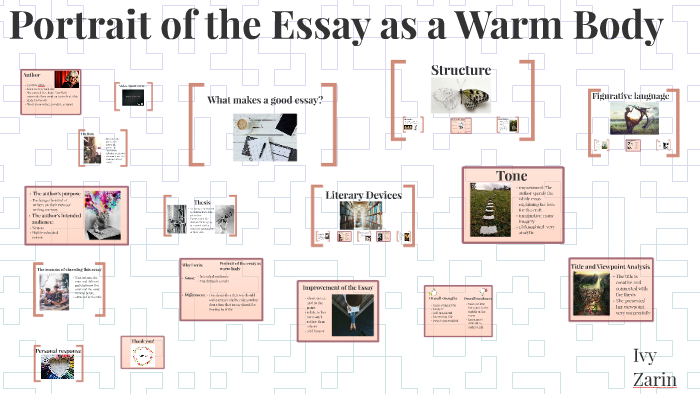 portrait of the essay as a warm body summary