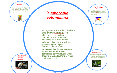 la amazonia colombiana by camilo cabrera on Prezi