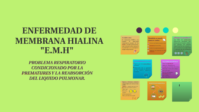 ENFERMEDAD DE MEMBRANA HIALINA by valentina medel bravo on Prezi