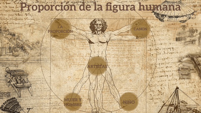 Proporción de la figura humana by DAYELI ROCIO HUATUCO SARTORI on Prezi