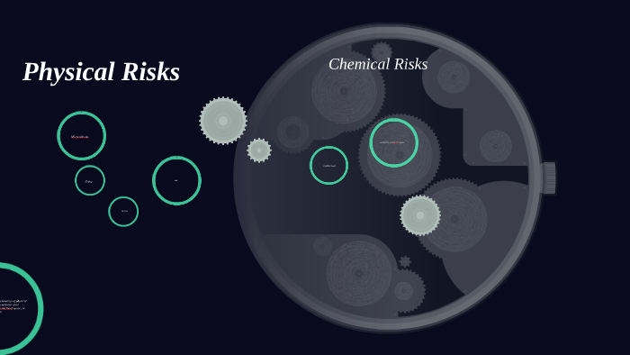 Physal Risk Physical Risks by mara ziraldo on Prezi
