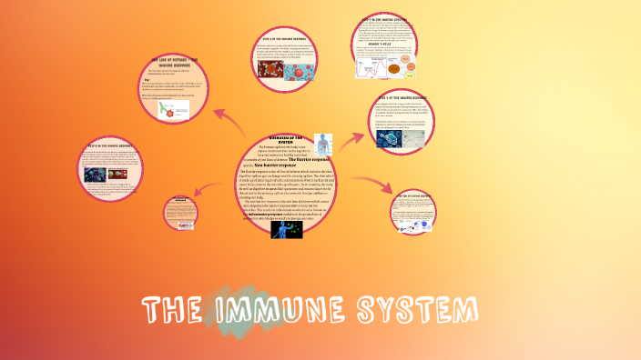 The Immune System by on Prezi