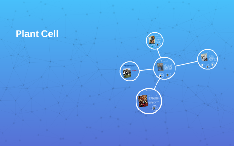 Comparing a Plant Cell to a House by Andrew Chant on Prezi