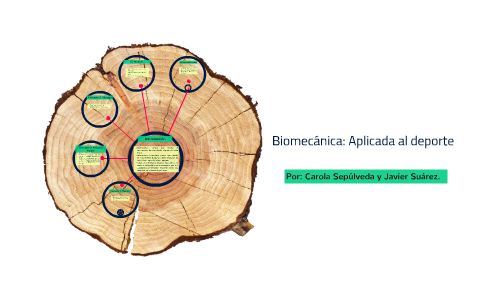 Biomecánica: Aplicada Al Deporte By Carola Sepúlveda