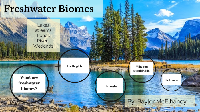 freshwater-biome