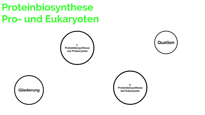 Proteinbiosynthese Bei Pro Und Eukaryoten prezi.com