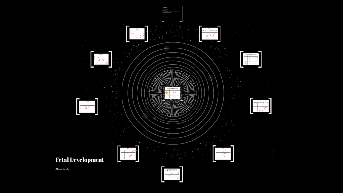 Fetal Development by on Prezi
