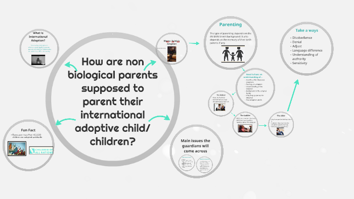 how-are-non-biological-parents-supposed-to-parent-their-inte-by-madi-reisig