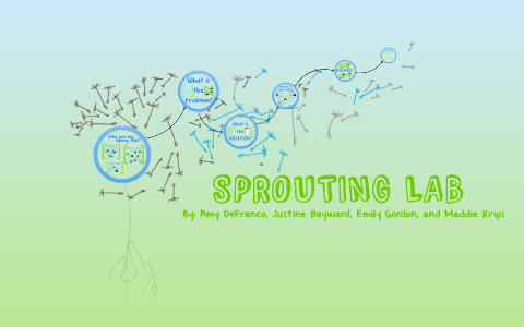 SPROUTING LAB by Amy DeFranco on Prezi