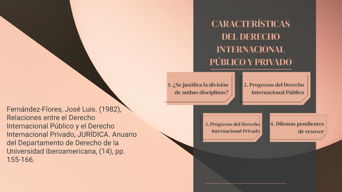 CARACTERÍSTICAS DEL DERECHO INTERNACIONAL PÚBLICO Y PRIVADO by JN