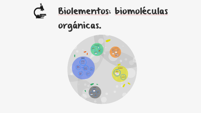 Biolementos: biomoléculas orgánicas. by María Jiménez González on Prezi