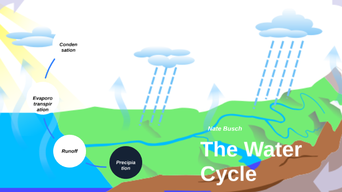 Water Cycle by Nate Busch on Prezi