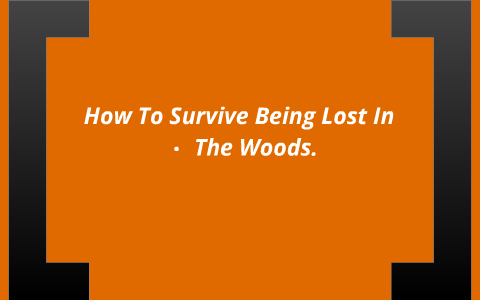 How To Survive Being Lost In The Woods By Paige Cosby