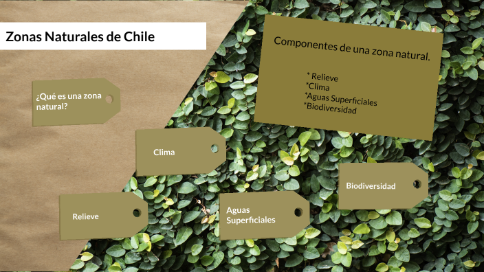 Zonas Naturales de Chile by Fernanda Fuentes Büchner on Prezi