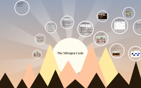 Nitrogen cycle by John Chauvin on Prezi