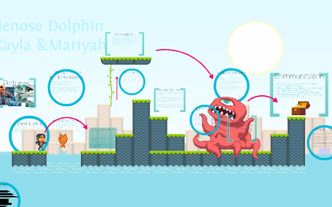 Bottlenose Dolphin by Maya B. on Prezi