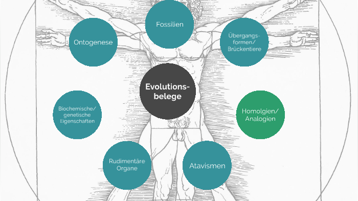 Evolutionsbelege Atavismen Und Rudiment re Organe By Rex Surry On Prezi evolutionsbelege-atavismen-und-rudiment-re-organe-by-rex-surry-on-prezi