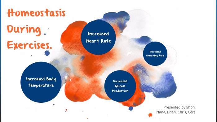 Homeostasis During Exercise by Nana Gyabaahkessie