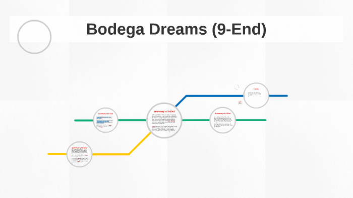 bodega dreams essay