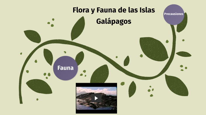 La flora y la fauna de las islas Galápagos by Mayra Gutiérrez on Prezi Next