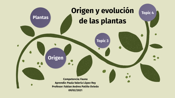 Origen y evolución de las plantas by Paula Valeria López Rey on Prezi