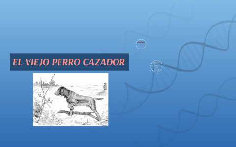 Milímetro esencia Girar EL VIEJO PERRO CAZADOR by Luis Bárcenes Carrasco