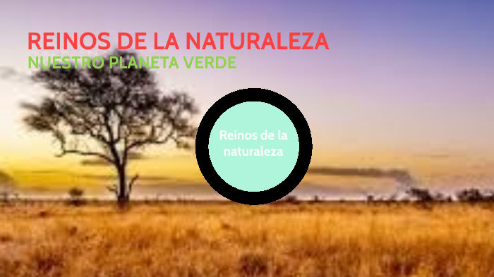 reinos de la naturaleza by victor sanchez on Prezi