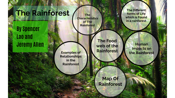 The Rainforest by Spencer Lao on Prezi