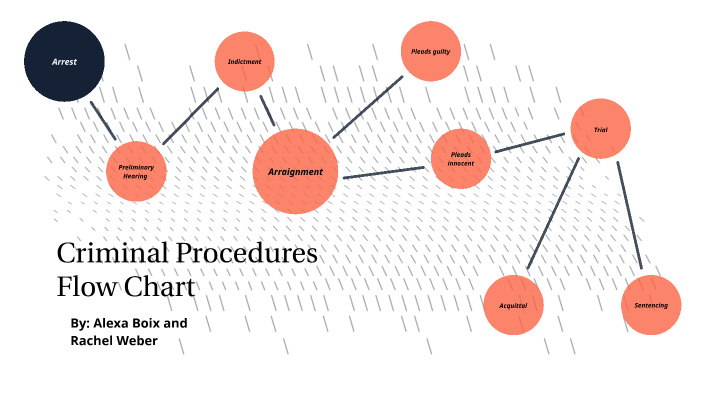 Criminal Procedures Flow Chart by Rachel Weber