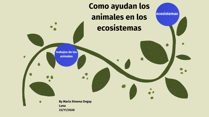 Como ayudan los animales en los ecosistemas by MARIA XIMENA ONGAY LUNA ...