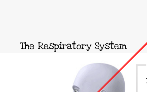 Respiratory System by Ryan Fessette on Prezi
