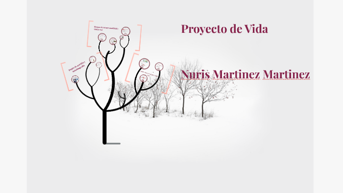 Proyecto de Vida by nuris martinez on Prezi