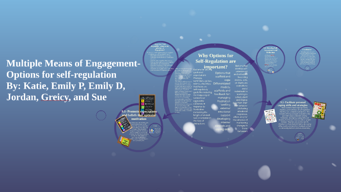 multiple-means-of-engagement-by-katie-schadenfroh