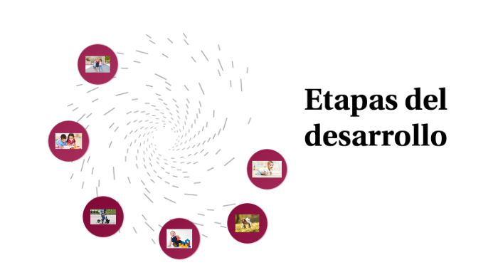 Etapas del desarrollo by Kenia Corina Gadea Gómez on Prezi