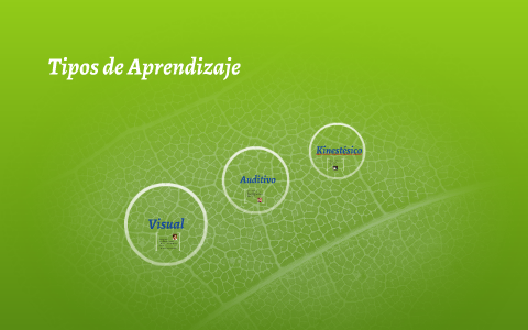 Tipos de Aprendizaje by lupita viveros on Prezi