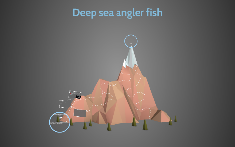 Deep sea angler fish by bryony johnson-may on Prezi