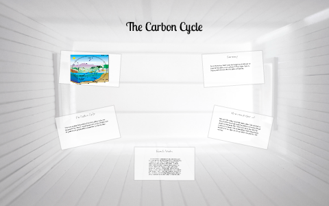 The Carbon Cycle by Tim Morrison on Prezi
