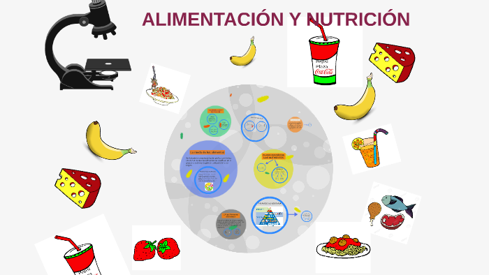 Tema 2: Alimentación Y Nutrición. Biología By Maria Peñafiel On Prezi