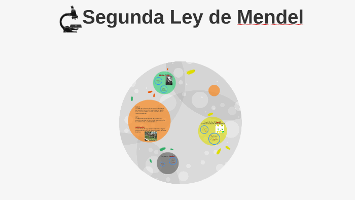 Segunda Ley de Mendel by Maria del Rosario Ramirez Ceballos