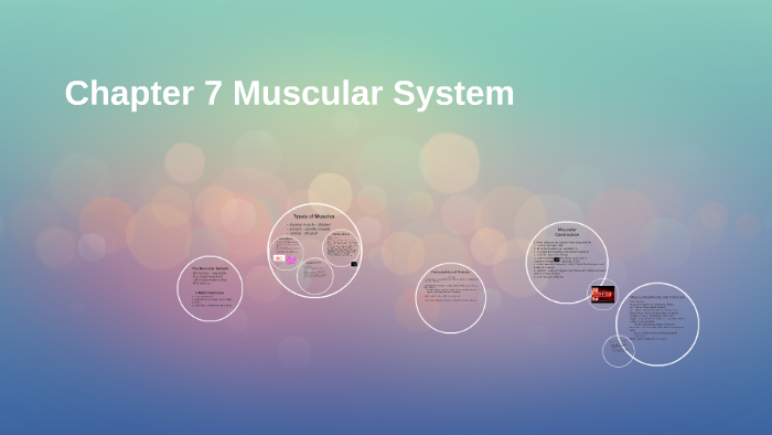 chapter-7-muscular-system-by-alana-lamontagne