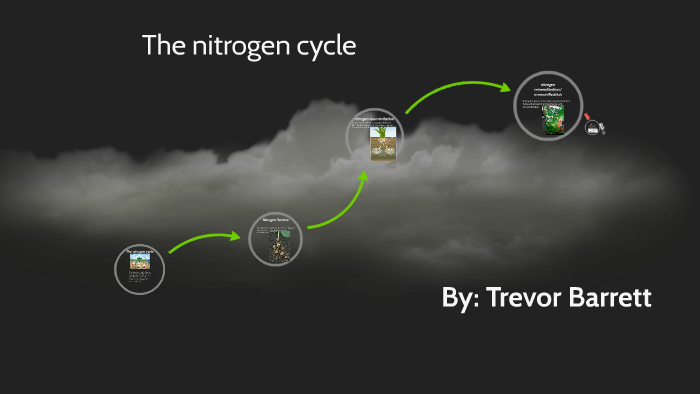 The nitrogen cycle by Trevor Barrett on Prezi