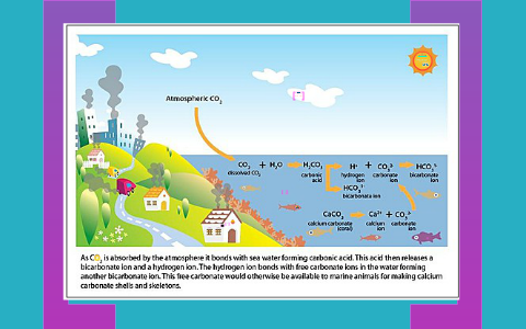 Human Impact (Ocean Acidification) by Abner HERNANDEZ-LIMA