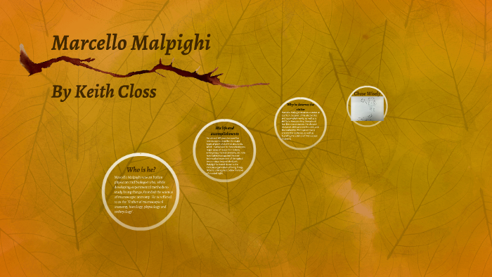 Marcello Malpighi by keith closs