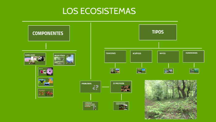 LOS ECOSISTEMAS by angela rodriguez on Prezi